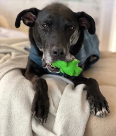 Molly Mae